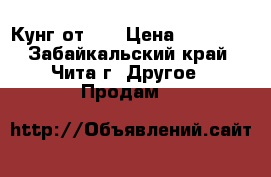 Кунг от 66 › Цена ­ 10 000 - Забайкальский край, Чита г. Другое » Продам   